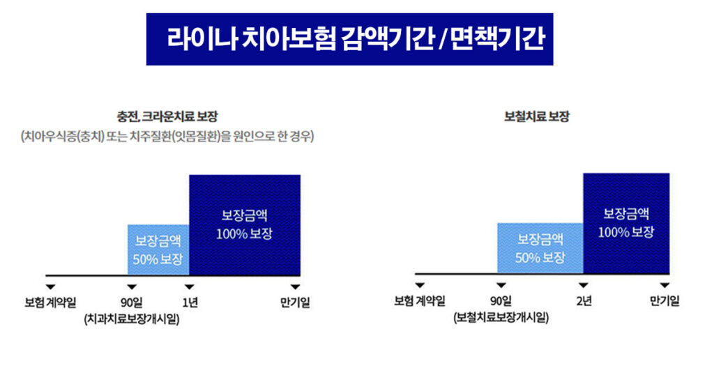 라이나생명 치아보험 감액기간 면채기간 효력상실